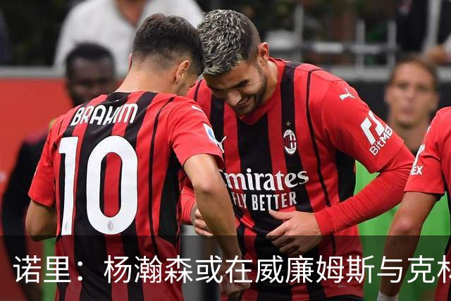 诺里：杨瀚森或在威廉姆斯与克林根犯规时获得上场机会